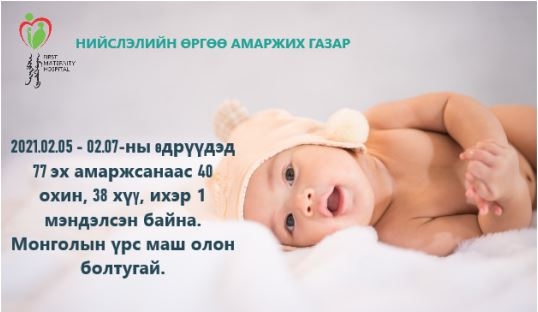 Төрөлтийн мэдээ