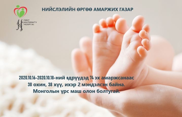 Төрөлтийн мэдээ